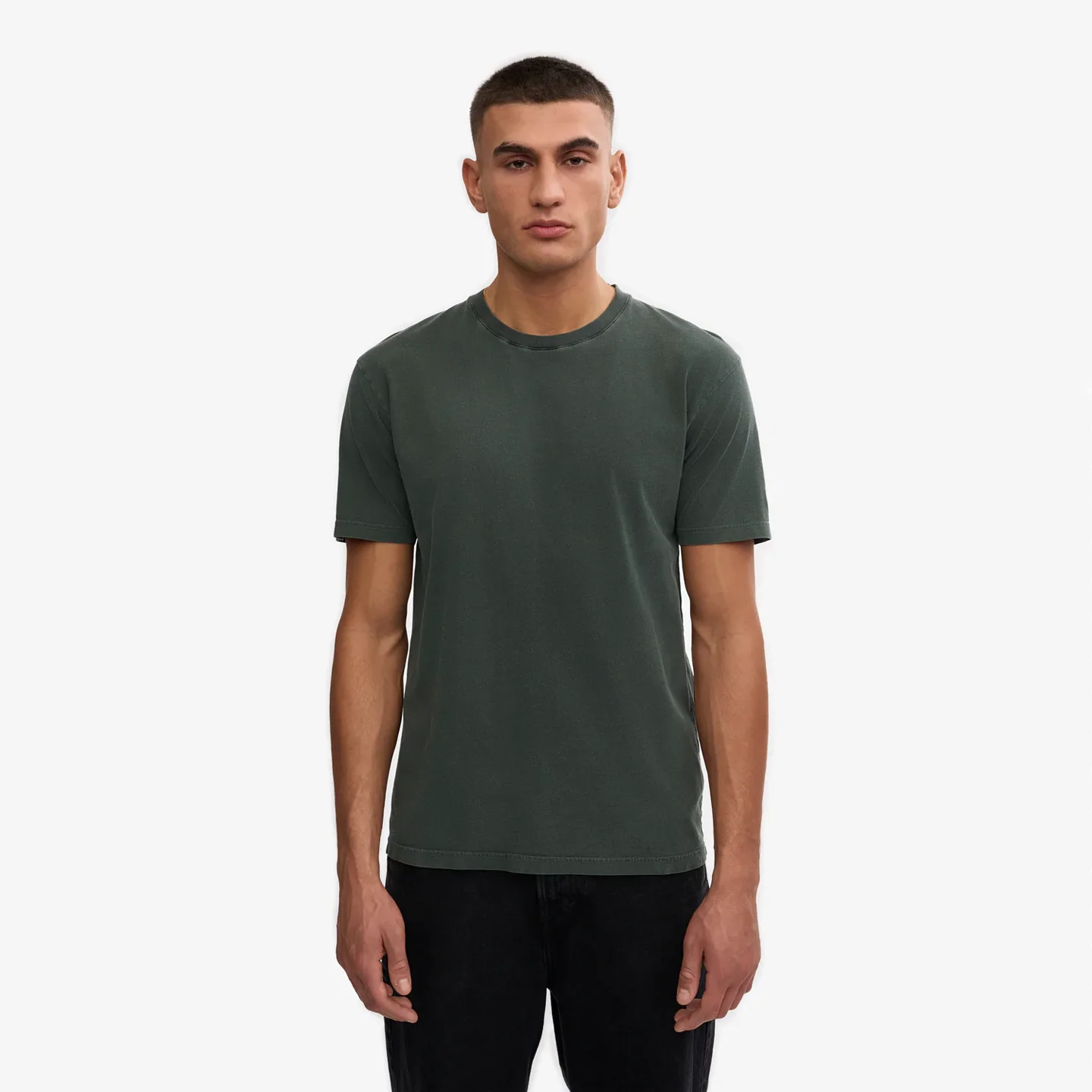 Classic Organic T-Shirt - Midnight Forest - Image 2
